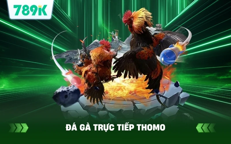 Đá Gà Trực Tiếp Thomo Bình Luận Viên Anh Quân Siêu Cuốn