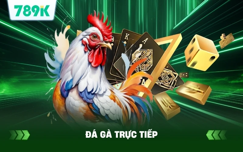 Đá Gà Trực Tiếp Hôm Nay | Xem Cực Nét, Cực Hay Tại 789K