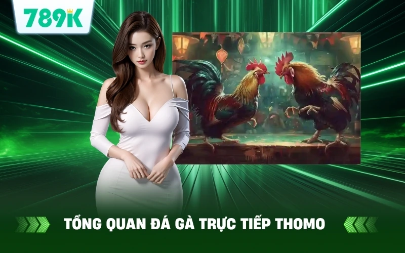 Giới thiệu về đá gà trực tiếp thomo tại 789K