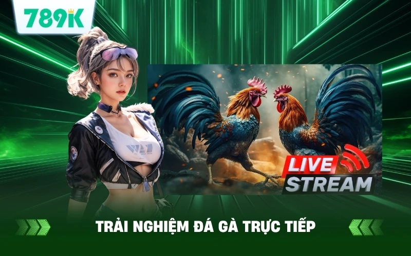 Trải Nghiệm Đá Gà Trực Tiếp Hôm Nay Cực Nét Trên 789K