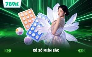 Xổ Số Miền Bắc Hôm Nay | Hướng Dẫn Soi Cầu SXMB Chính Xác